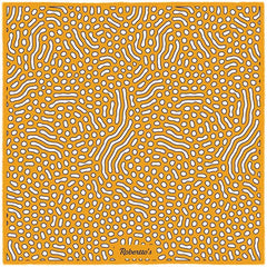 Beneath the Lens UCLA Gold Pocket Square