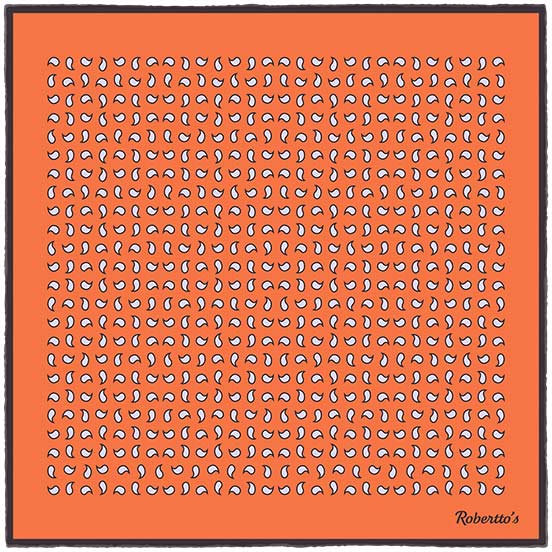 Paisley Scintillation Tangerine Pocket Square