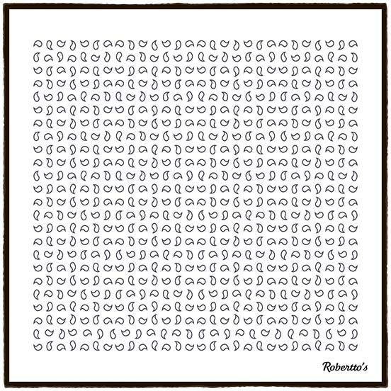 Paisley Scintillation Black on White Pocket Square