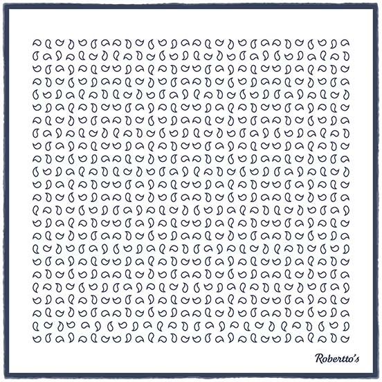 Paisley Scintillation Navy Blue on White Pocket Square