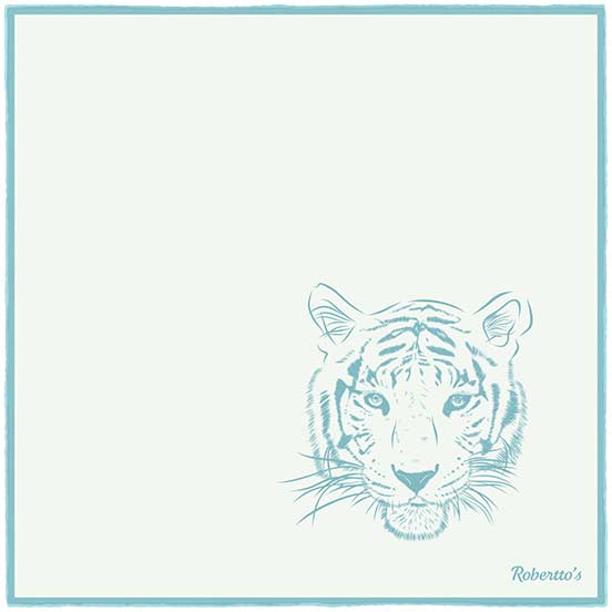 Tyger Shoestring Powder Blue on White Pocket Square